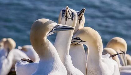 金华高价上海医保提取2025的最新政策(2025年金华上海医保怎么提取现金分享)