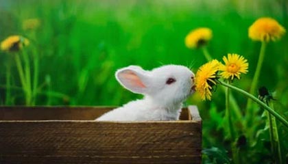 金华高价上海医保提取2025的最新政策(2025年金华上海医保怎么提取现金分享)